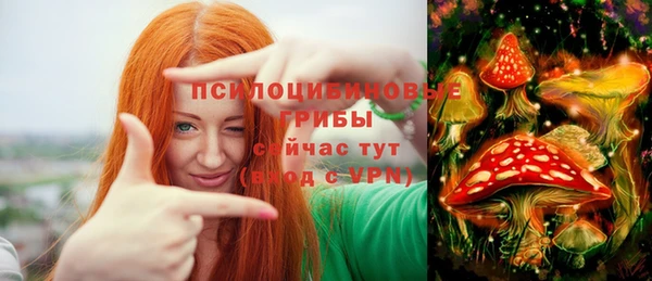 ECSTASY Волоколамск