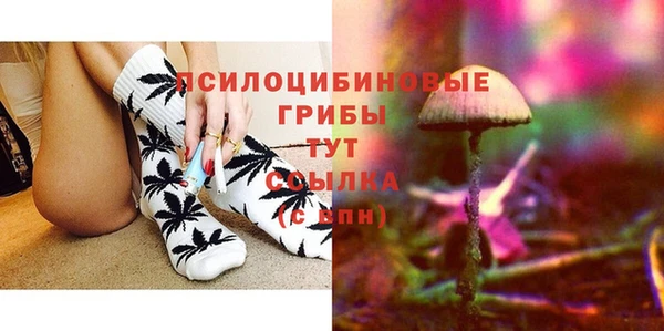 ешки Бугульма