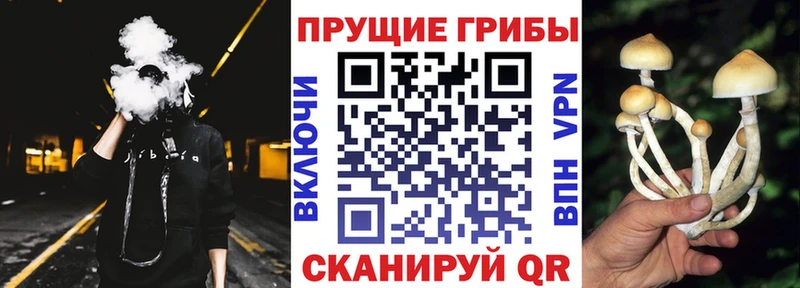 Псилоцибиновые грибы ЛСД Железногорск-Илимский