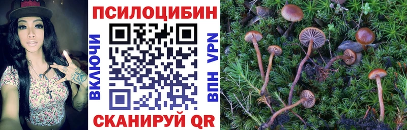 ссылка на мегу маркетплейс  Железногорск-Илимский  Галлюциногенные грибы Psilocybine cubensis  закладка 